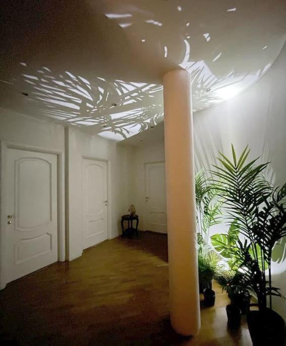 Damiki Luminoso, * Turin