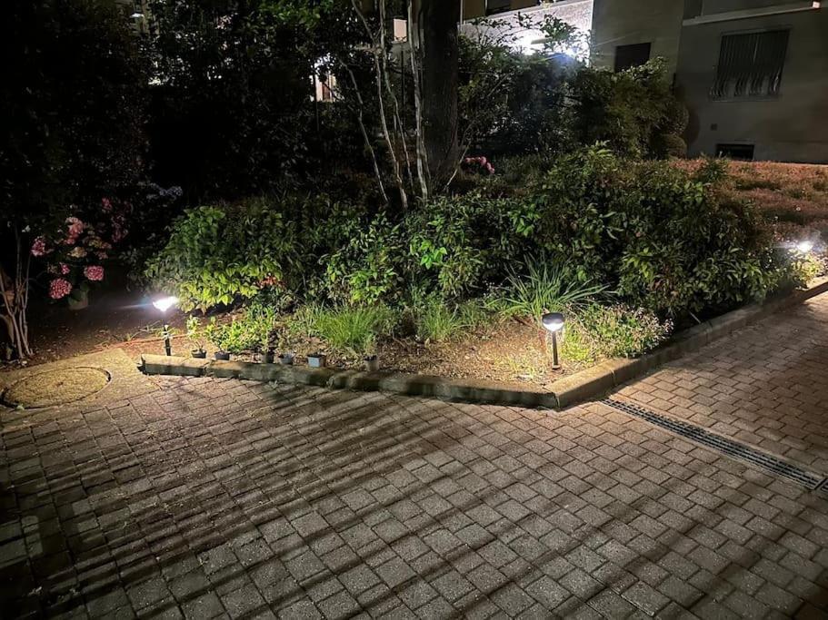 Appartement Damiki Luminoso,